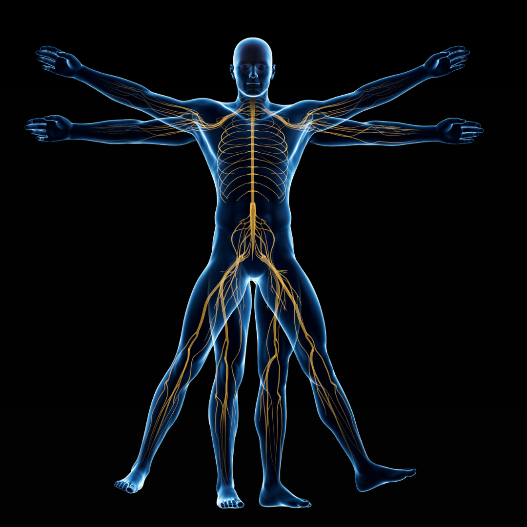 O que é a Conscienciologia Clínica
